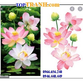 Tranh gắn đá hoa sen